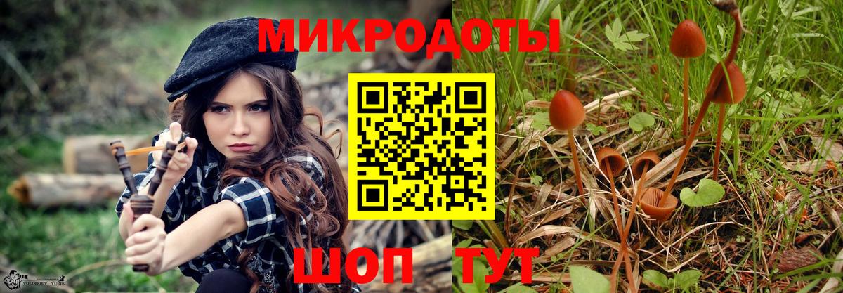 Галлюциногенные грибы Magic Shrooms Гусь-Хрустальный